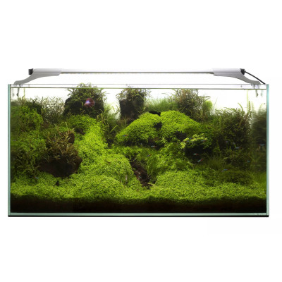 AQUAEL Leddy Slim Plant 36 W- Beleuchtung für Aquarien von 100 bis 127 cm