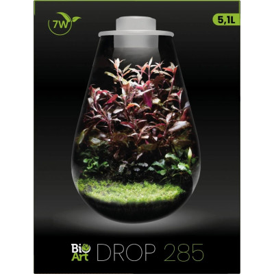 Mini-Terrarium für Pflanzen