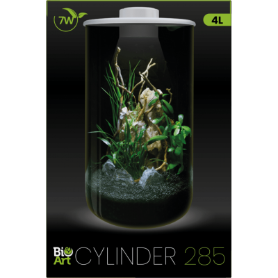 BioArt Terrarium
