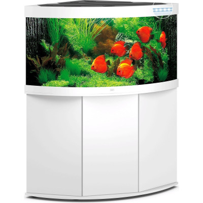 JUWEL Trigon 350 LED- Aquarium 350 litres avec meuble