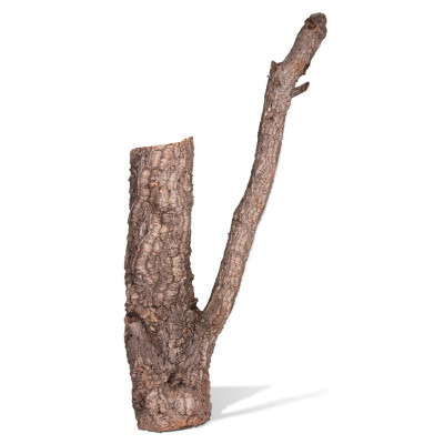 Branche de liège pour terrarium