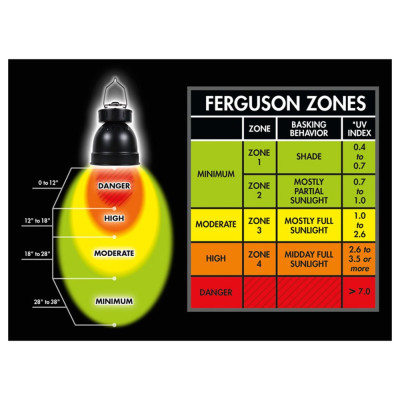 Éclairage pour terrarium PowerSun HID Combo 70W