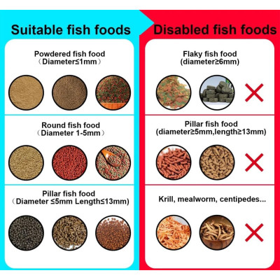 Visual Fish Feeder- Distributeur nourriture pour poisson