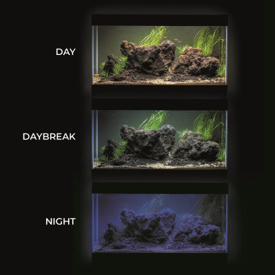 AQUAEL Leddy Tube Sunny Day&Night 10 W