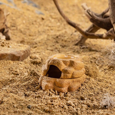 Feuchtes Versteck für Reptilien