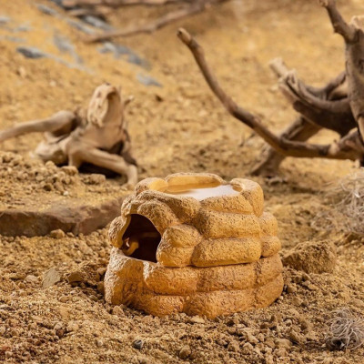 Grotte Humide pour reptiles