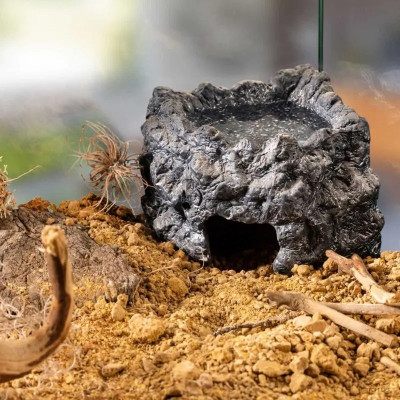 Grotte pour reptiles