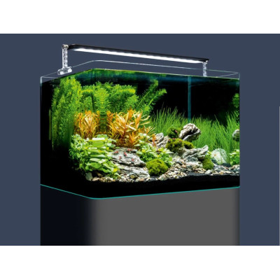 Nano Aquarium équipé