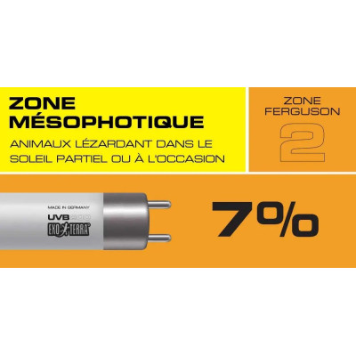Neon-Reptilienzone Ferguson 2