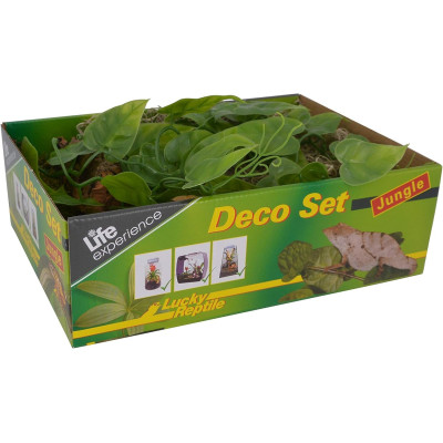 Deco Set Jungle- Décoration pour terrarium