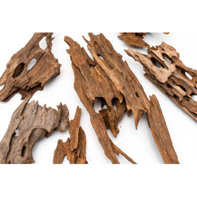 Racine Dragon Wood