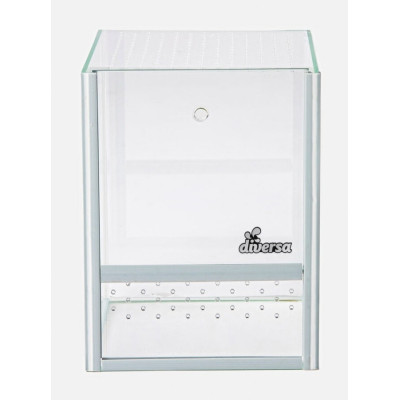 Terrarium pour araignée et insecte