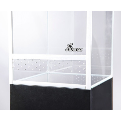 Terrarium pour araignée et insecte