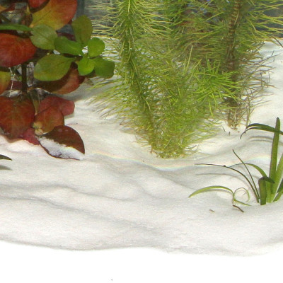 Sable fin blanc pour aquarium JBL Sansibar Snow 10 kg