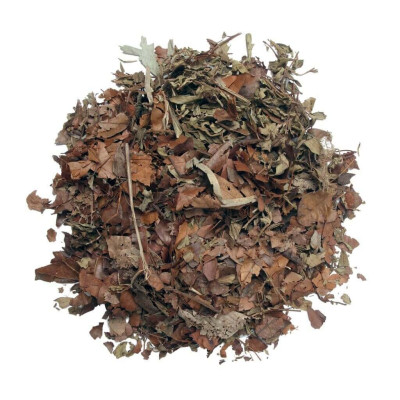 Subtrat de feuilles pour terrarium