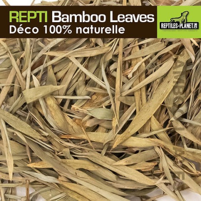 REPTILES PLANET Repti Bamboo Leaves 2L- Substrat pour terrarium