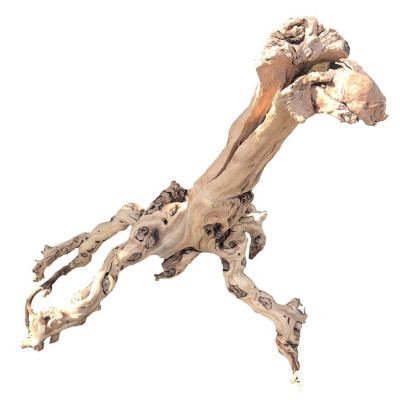 Naturholz für Terrarien