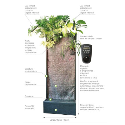 BIOPONIS Mur Végétal Avec Eclairage - Décoration végétalisé