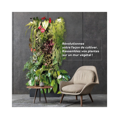 BIOPONIS Mur Végétal Avec Eclairage - Décoration végétalisé