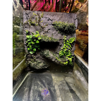 SHROOMROOM TropicalClay 3 kg – Argile pour fond de terrarium