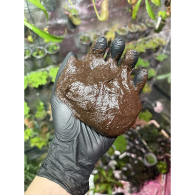 SHROOMROOM MossBase 40 g – Base pour mousses et plantes de terrarium