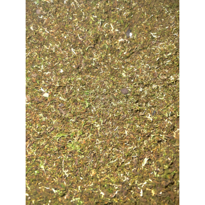 Shoomroom MossMix 10 g – Mousses décoratives vivante pour terrarium