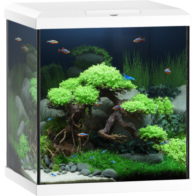 JUWEL Vio Cube 54 Weiß - Aquarium