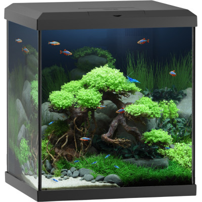 JUWEL Vio Cube 54 Schwarz - Aquarium