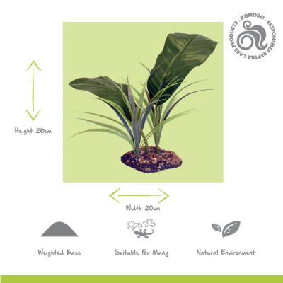 KOMODO Evergreen Canopy  - Pflanze für Terrarien