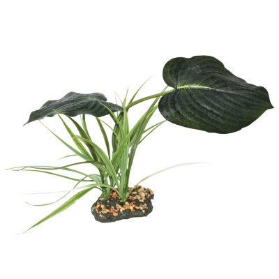 KOMODO Woodland Canopy - Plante pour terrarium