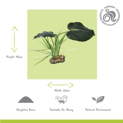 KOMODO Woodland Canopy - Plante pour terrarium