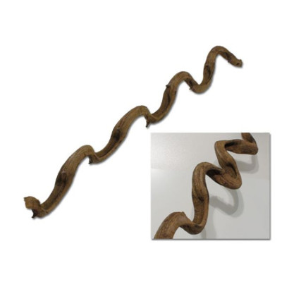 EBI-Ranke 75 cm – Terrariendekoration