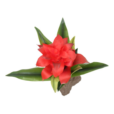 LUCKY REPTILE Bromelia Red- Plante pour terrarium