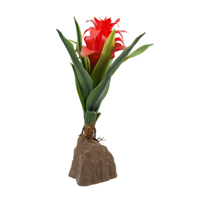 LUCKY REPTILE Bromelia Red - Terrarienpflanze