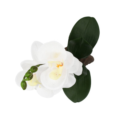 LUCKY REPTILE Orchidee Weiß - Terrarienpflanze