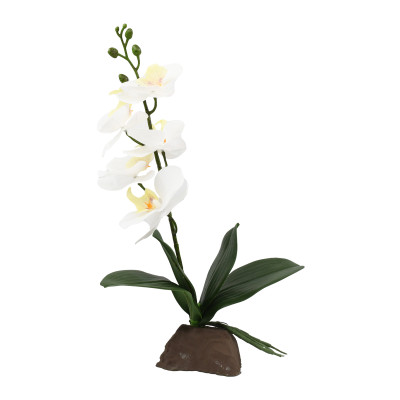 LUCKY REPTILE Orchidee Weiß