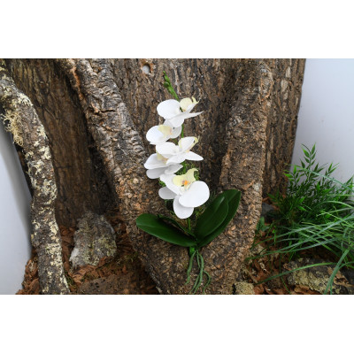 LUCKY REPTILE Orchidee Weiß - Terrarienpflanze