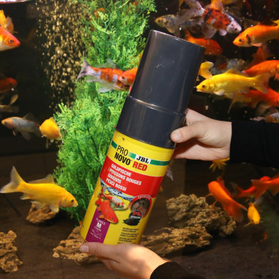 JBL ProNovoRed 750 ml - Goldfischflockenfutter