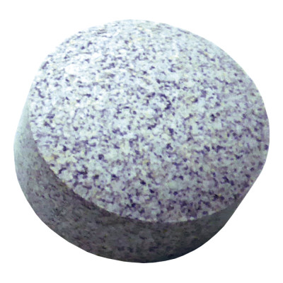 TETRA Bactozym 10 capsules- Bactéries pour aquarium à petit prix chez Aquario&Co