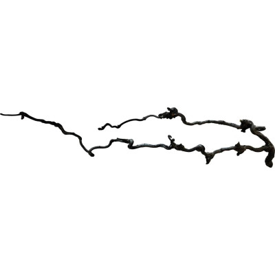 REPTO Beard Wood 60-80 cm - Branche pour terrarium