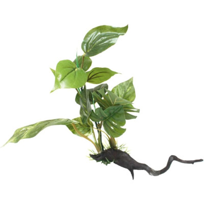 AMTRA Wonder Driftwood Serie 35-40 cm - Aquarienpflanze
