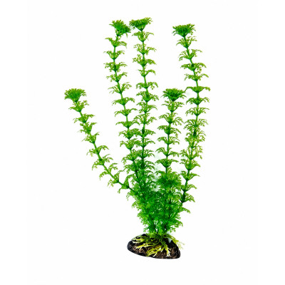 AMTRA Cabomba XL 33 cm
