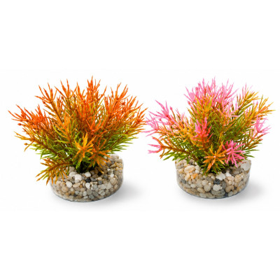 SYDECO Petite Moos 9 cm