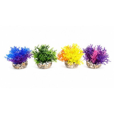 SYDECO Coral Reef 8 cm- Plante artificielle pour aquarium