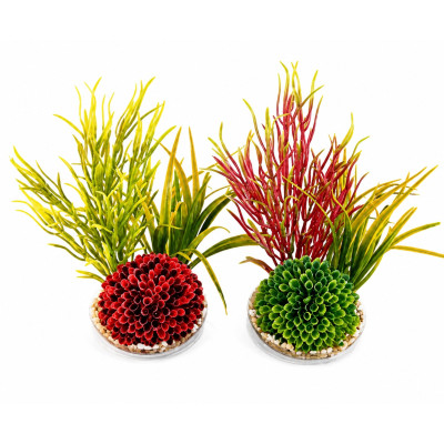 SYDECO Inselpflanze 20 cm - Aquarienpflanze