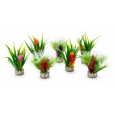 SYDECO Mix Plants 10 cm - Pflanze für Aquarium