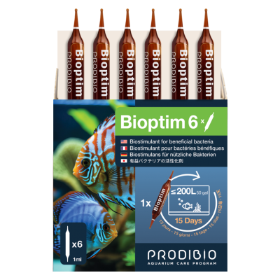PRODIBIO Bioptim 6 Ampoules- Booster de bactéries