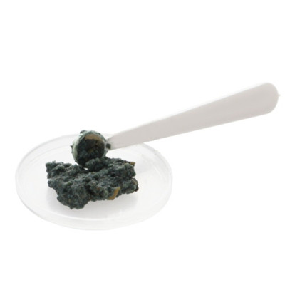 HOBBY Gecko Snack Banane / Ananas  - Nourriture pour gecko