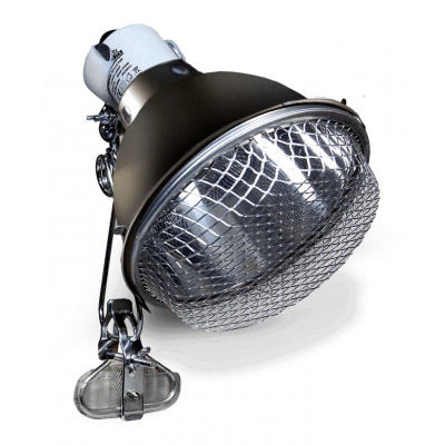 ARCADIA Clamp Lamp Graphite 14 cm
